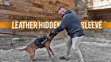 ray allen dog training