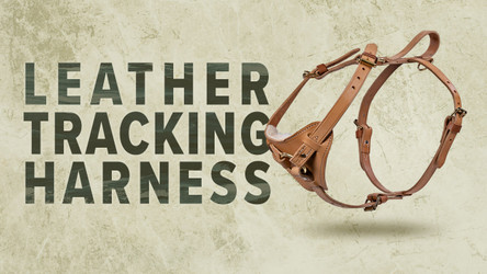 Ray Allen Leather Tracking Harness