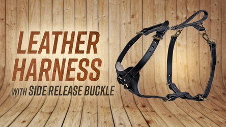 Ray Allen Quick Release Leather Harness