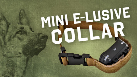 Mini E-Lusive™ Dog Collar | Practical E-Collar Mount For Dogs