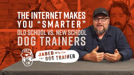 The Jaded Dog Trainer: The Internet Doesn't Make You Smarter!