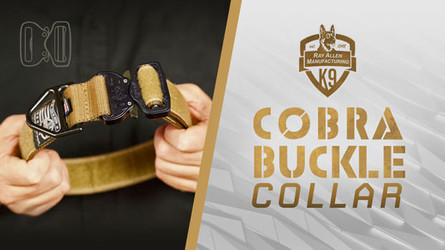 Ray Allen Cobra Buckle Collar - Ultimate Agitation Collar