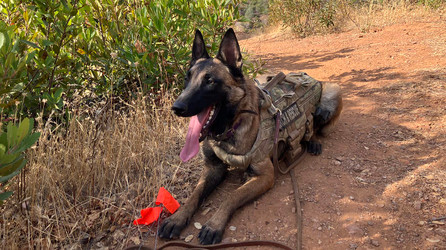 K9 Spotlight: Christina Thomas & Chelsea