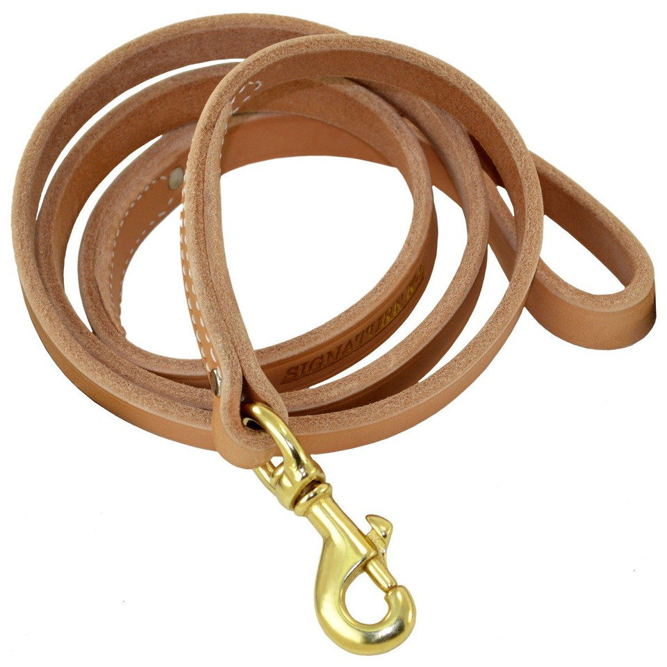 Chain Leash With Leather Handle main image 1
