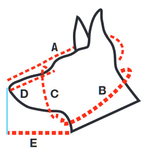 How to measure for muzzle sizing