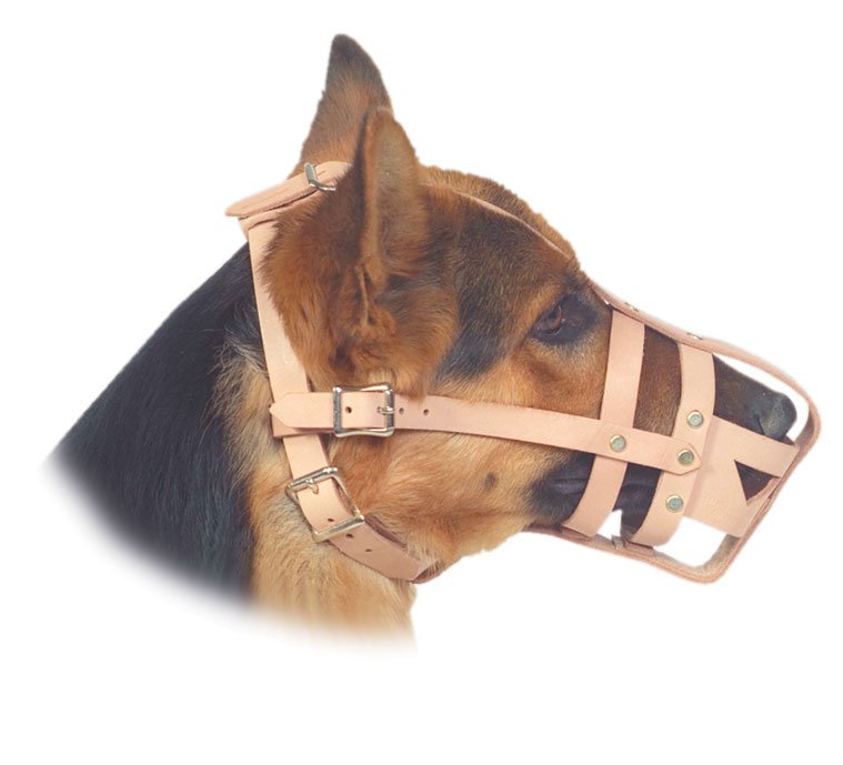 444.dogs専用 Size 21 Standard Muzzle — Big Snoof Dog Gear