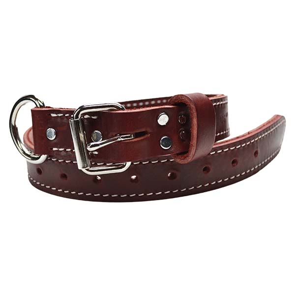 Latigo Leather Agitation Dog Collar - Ray Allen Manufacturing
