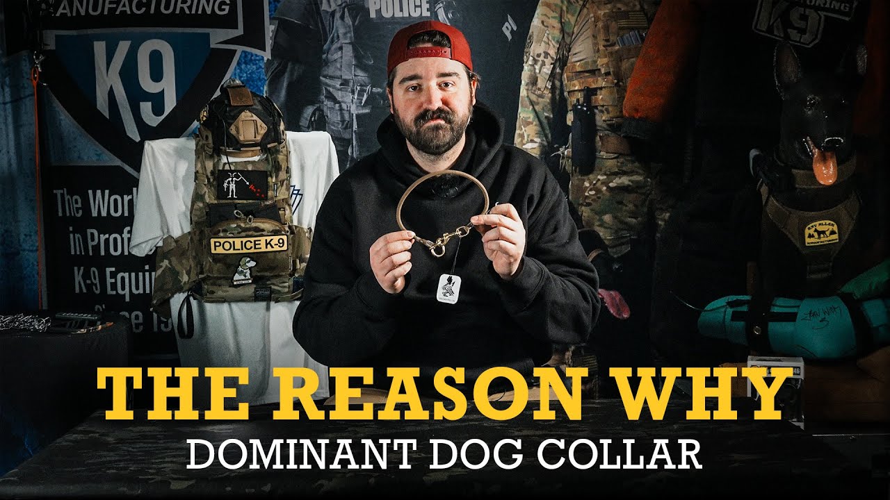 Understanding Dominant Dog Collars: Essential Training Tools for Working Dogs