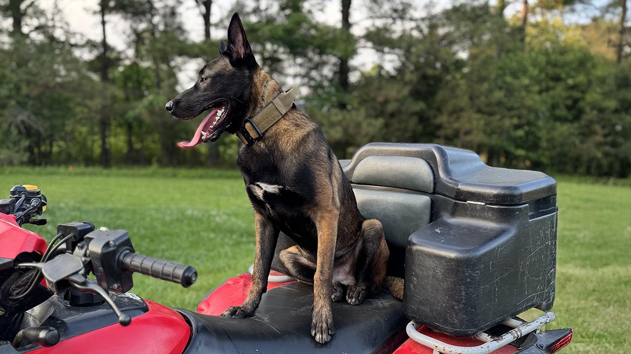 K9 Spotlight: Andrew Hill & Bane