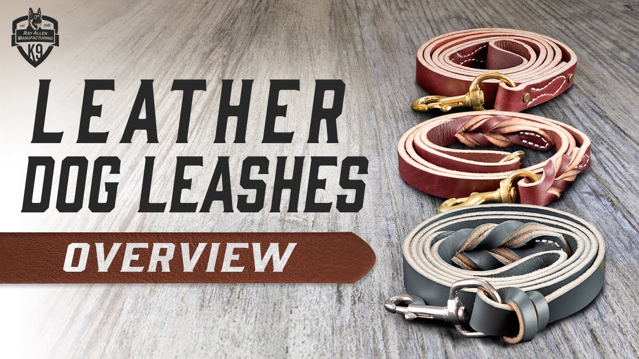 How to Choose the Right Leather Leash for Serious Working Dogs