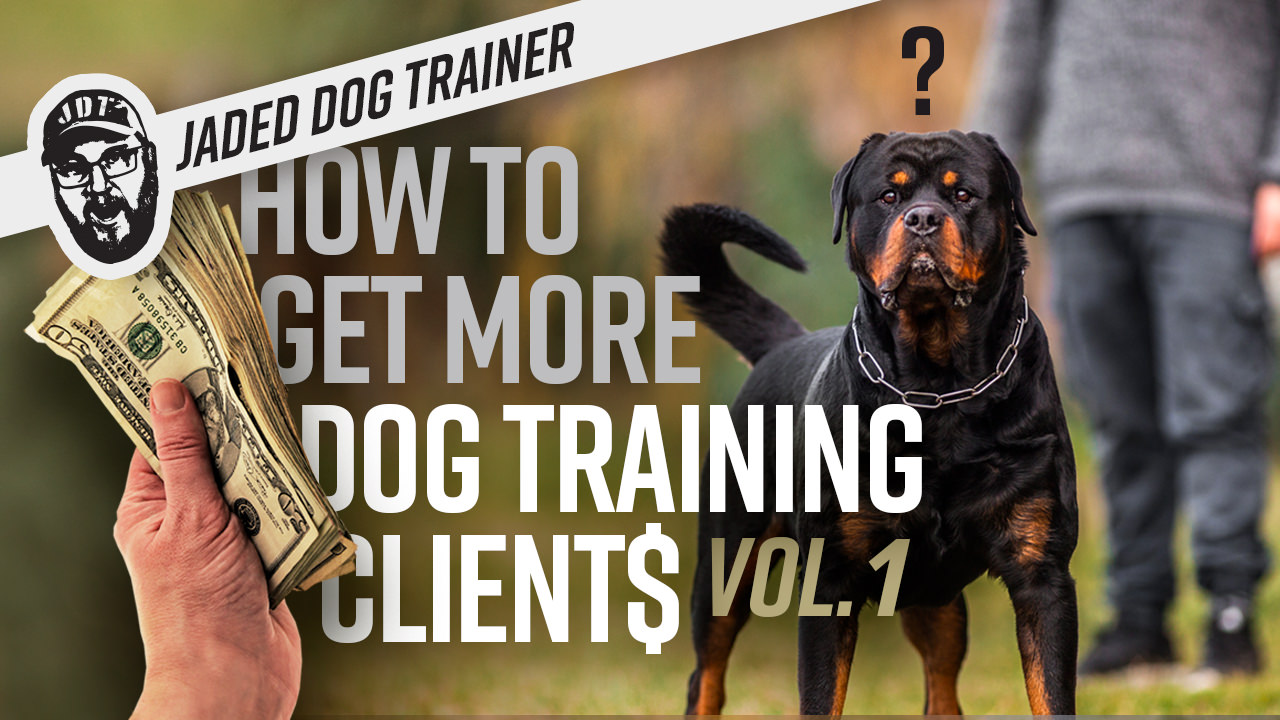 e collar not working