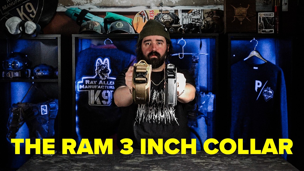 Introducing the RAM Collar 3”: Wide Agitation Power for Serious Working Dogs