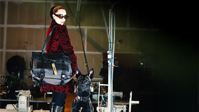 A Bag Built for the Spotlight