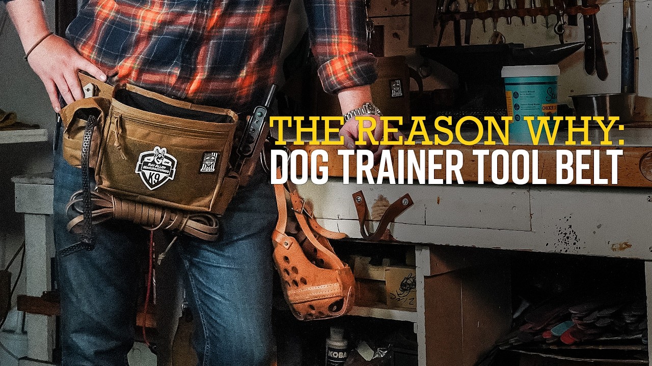 The Reason Why: Dog Trainer Tool Belt