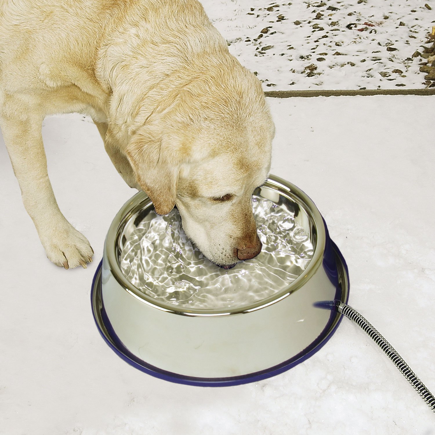 Slow Feed Bowl  Dog Food Bowl - Ray Allen Manufacturing