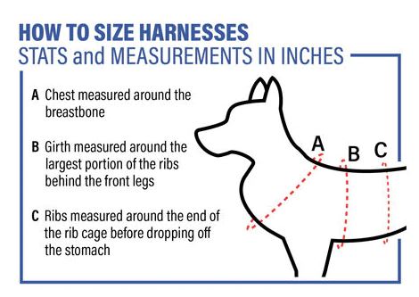 ray allen icon tactical dog harness