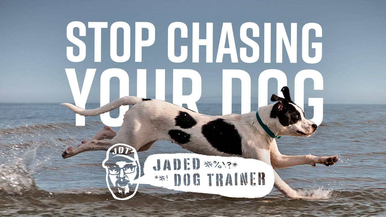 The Jaded Dog Trainer Means Run Away! Ray Allen Manufacturing