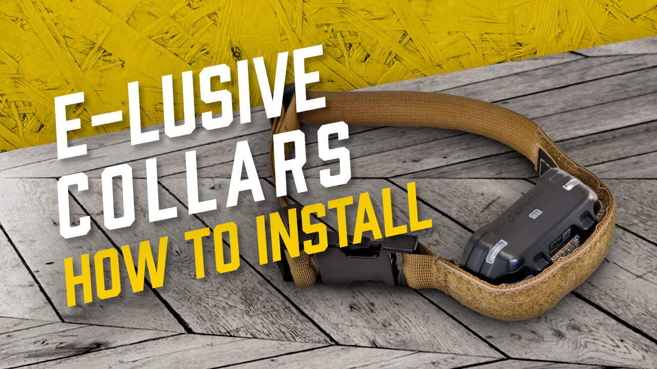 ELusive Collars Receiver Mounting Tutorial Ray Allen Manufacturing