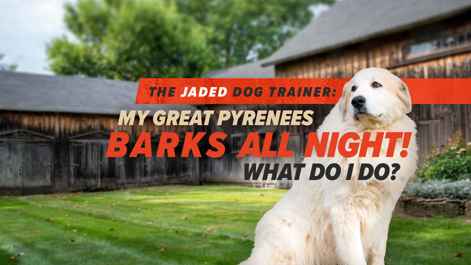 do great pyrenees pant a lot