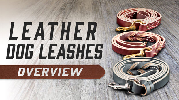 Leather Dog Leashes