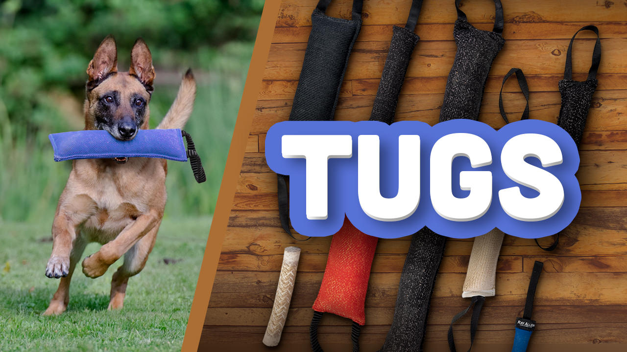 Why Ray Allen Dog Tug Toys Are Vital To K9 Bite Training - Ray Allen  Manufacturing