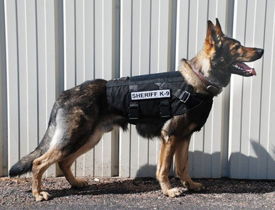 CaliberDog Ballistic Level III-A Kevlar Working Dog Vest - Active Dogs