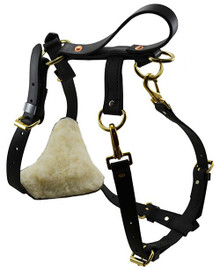 sar tracking dog harness