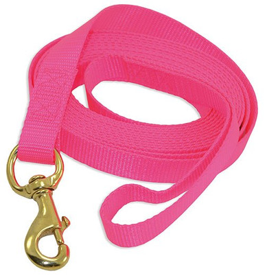 Hot Pink Nylon Lead | Nylon Dog Leash - Ray Allen Manufacturing