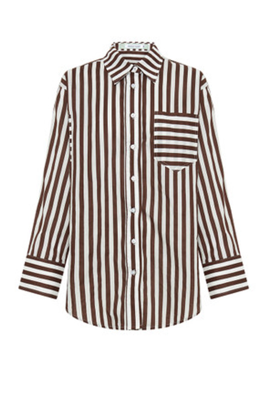 Classic Button Down Shirt in Brown / White Stripe
