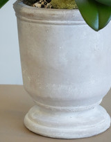 HAVEN | Double Planter