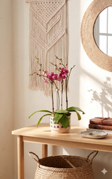 INCA | Compact Double Orchid