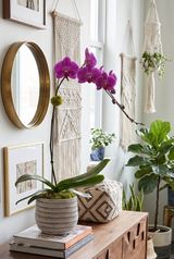 ITAL | Single Planter