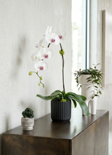 IVORY | Single Planter