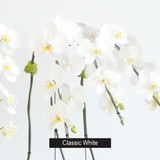 IVORY | Double Planter