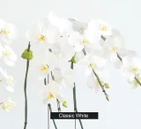 REEF | Double Planter