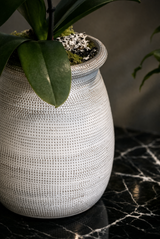 COUPE | Single Planter