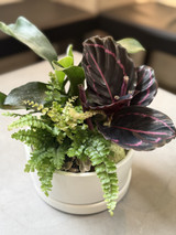 Glow and Grow: Eden Planter Set