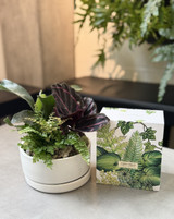 Glow and Grow: Eden Planter Set