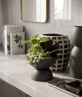 DEMMA | Tropical Planter