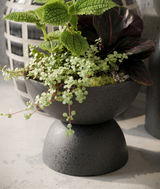 DEMMA | Tropical Planter