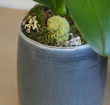 JAVA | Single Planter