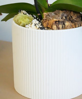 CERCLE | Single Planter