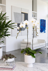 VENTI | Double Planter