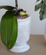 HAVEN | Single Planter