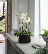 ODE | Custom Compact Double Planter