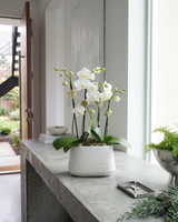 ODE | Custom Compact Double Planter