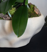 TEXTURA | Triple Planter