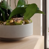 SPERRO | Quad Planter