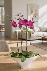 LUNDEN | Double Planter