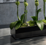 NOIRRE | Compact 5 Orchid Planter